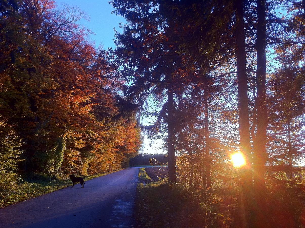 Gasthof Teufl Purgstall an der Erlauf Екстер'єр фото
