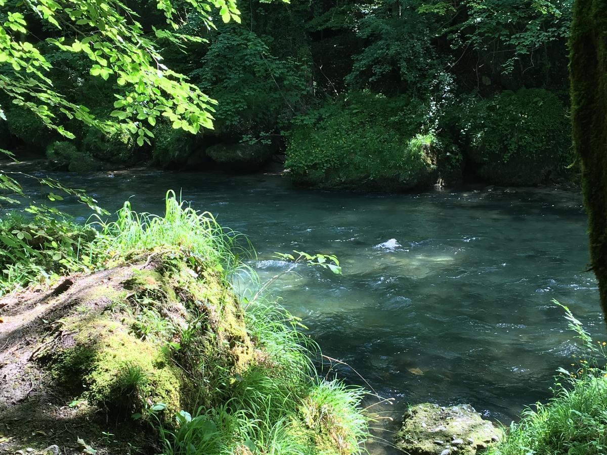 Gasthof Teufl Purgstall an der Erlauf Екстер'єр фото
